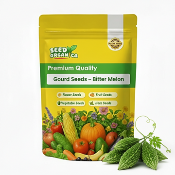 Gourd Seeds – Bitter Melon