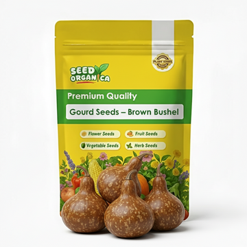 Gourd Seeds – Brown Bushel