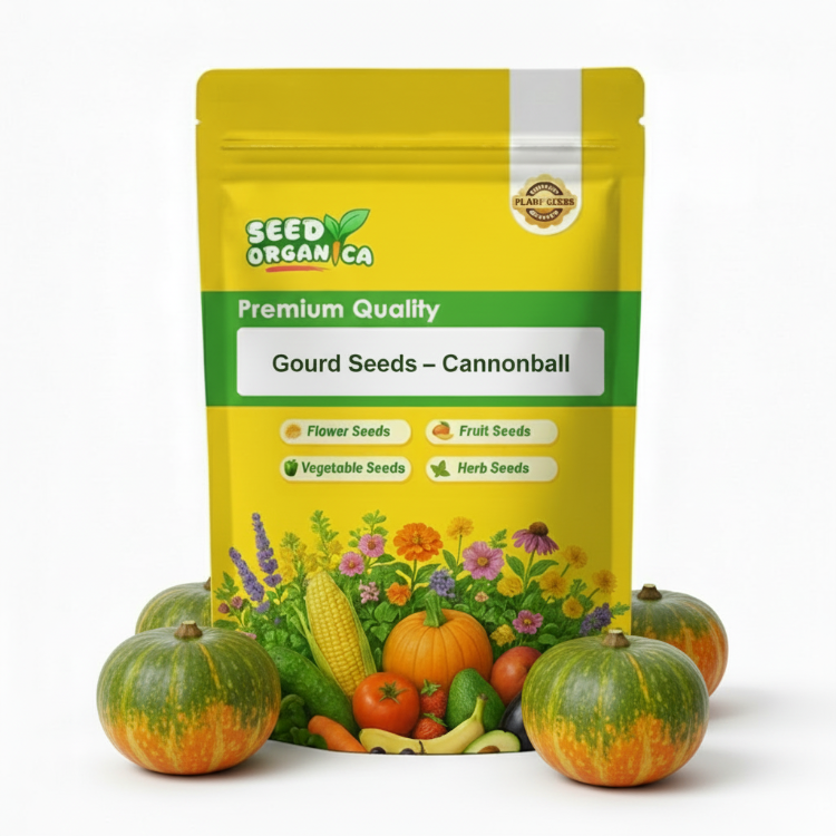 Gourd Seeds – Cannonball