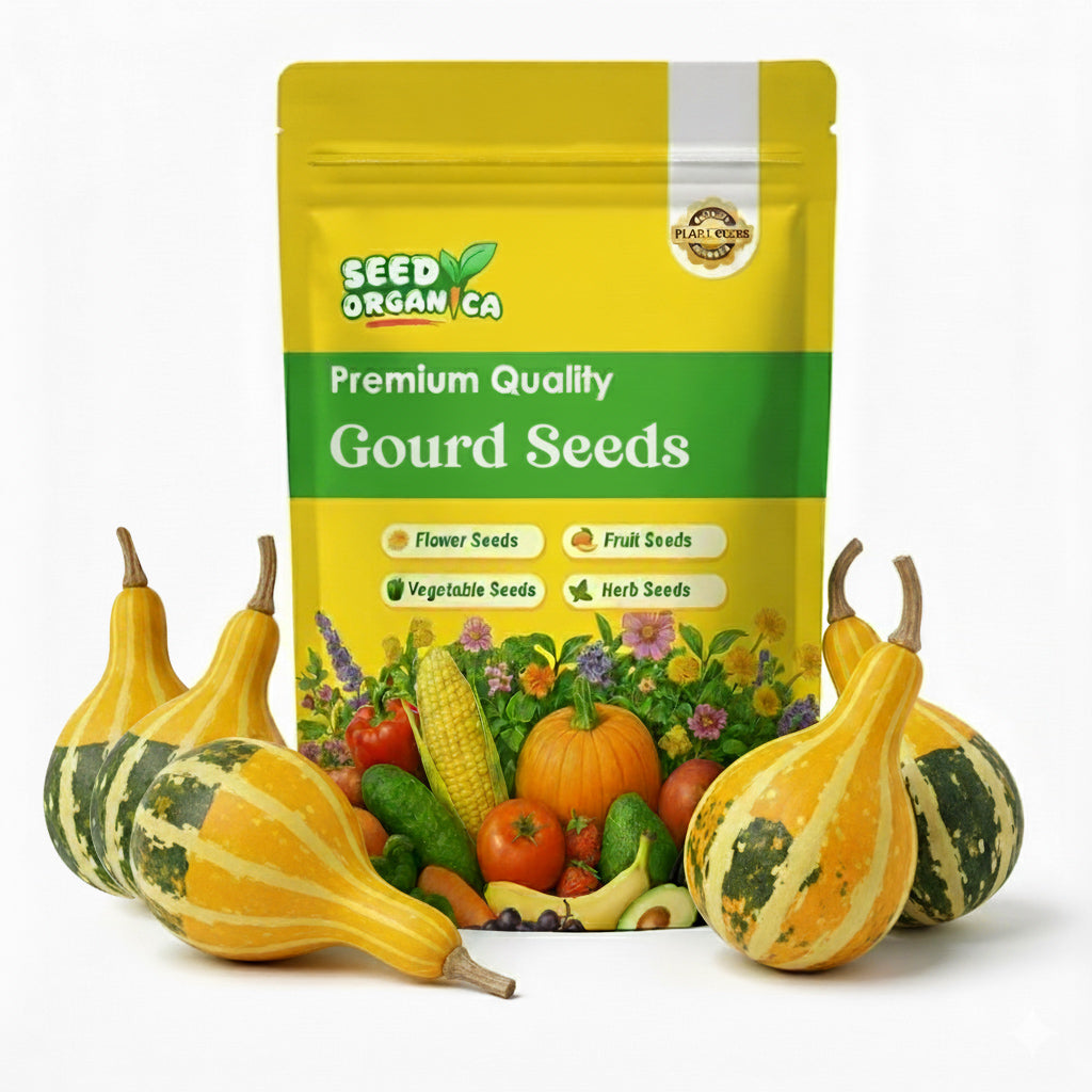Gourd Seeds – Goblin Eggs
