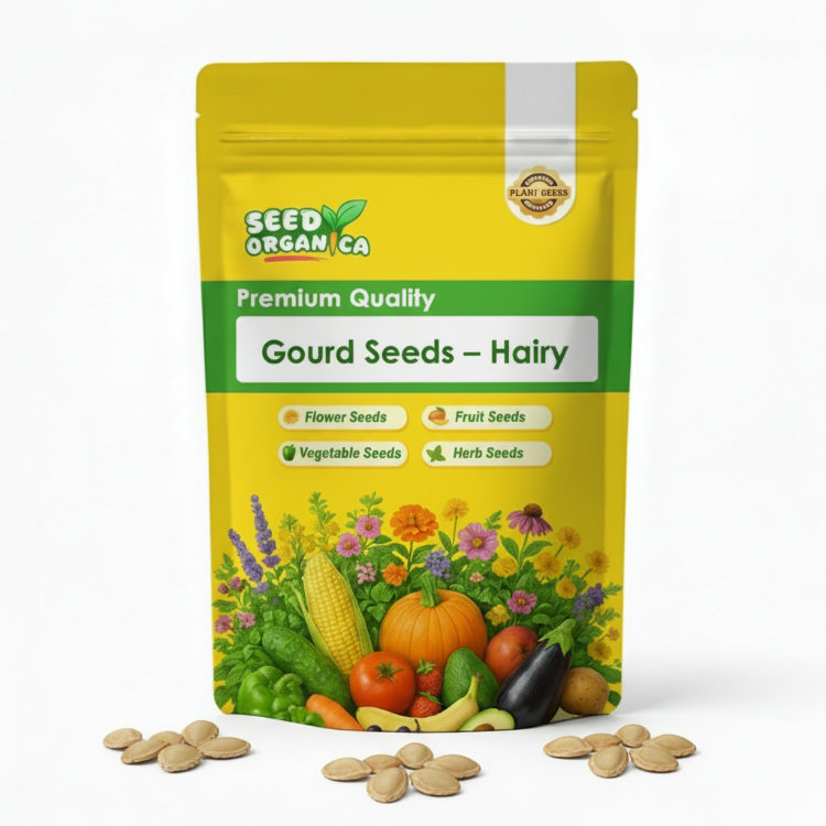 Gourd Seeds – Hairy