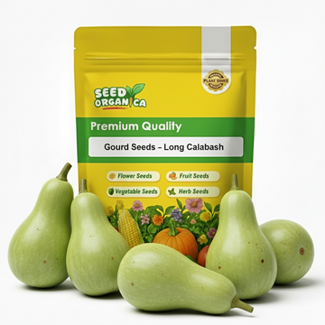 Gourd Seeds – Long Calabash