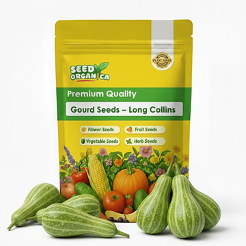 Gourd Seeds – Long Collins