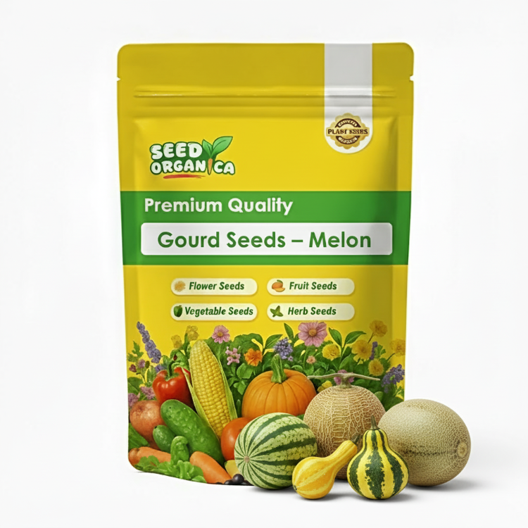 Gourd Seeds – Melon