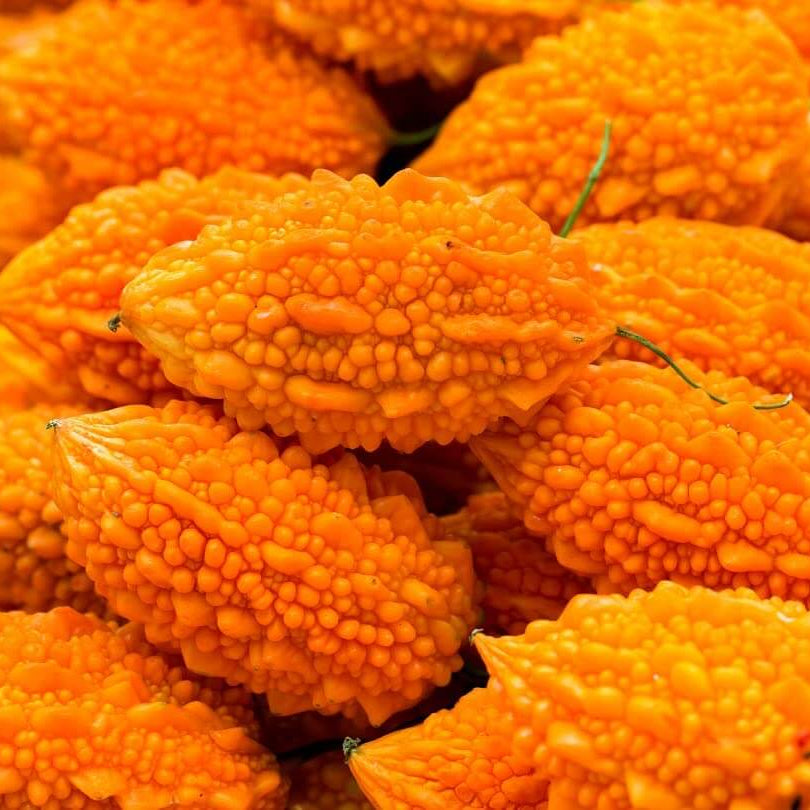 Gourd Seeds – Orange Bitter 