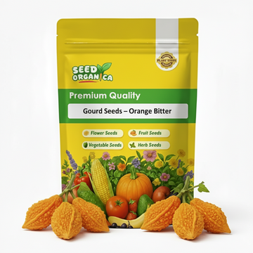 Gourd Seeds – Orange Bitter