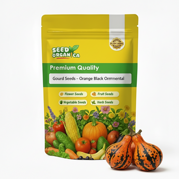 Gourd Seeds – Orange Black Ornamental