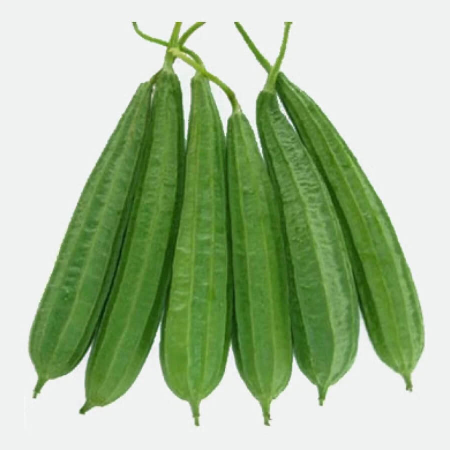 Seeds Ridges Ridge Gourd Seeds | Climbing Vegetable Plant