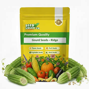Gourd Seeds – Ridge