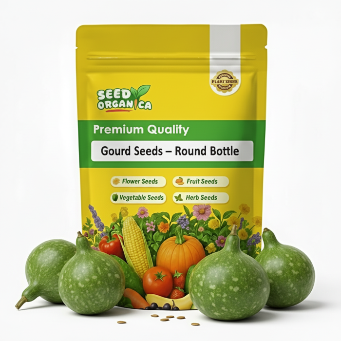 Gourd Seeds – Round Bottle