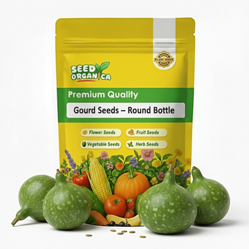 Gourd Seeds – Round Bottle