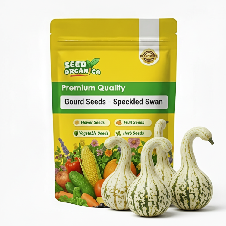 Gourd Seeds – Speckled Swan