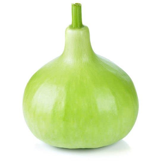 Gourd Seeds – Thai Bottle 