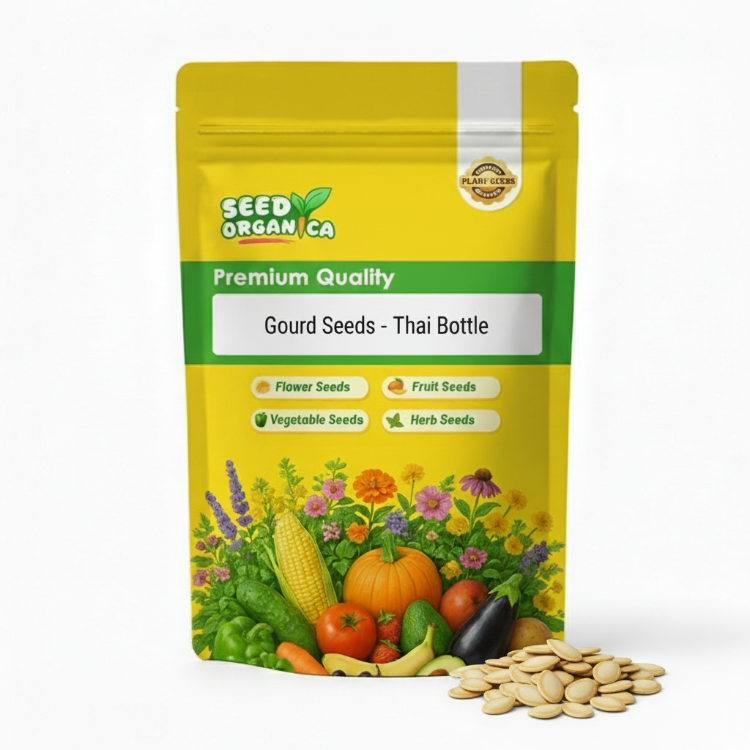 Gourd Seeds – Thai Bottle