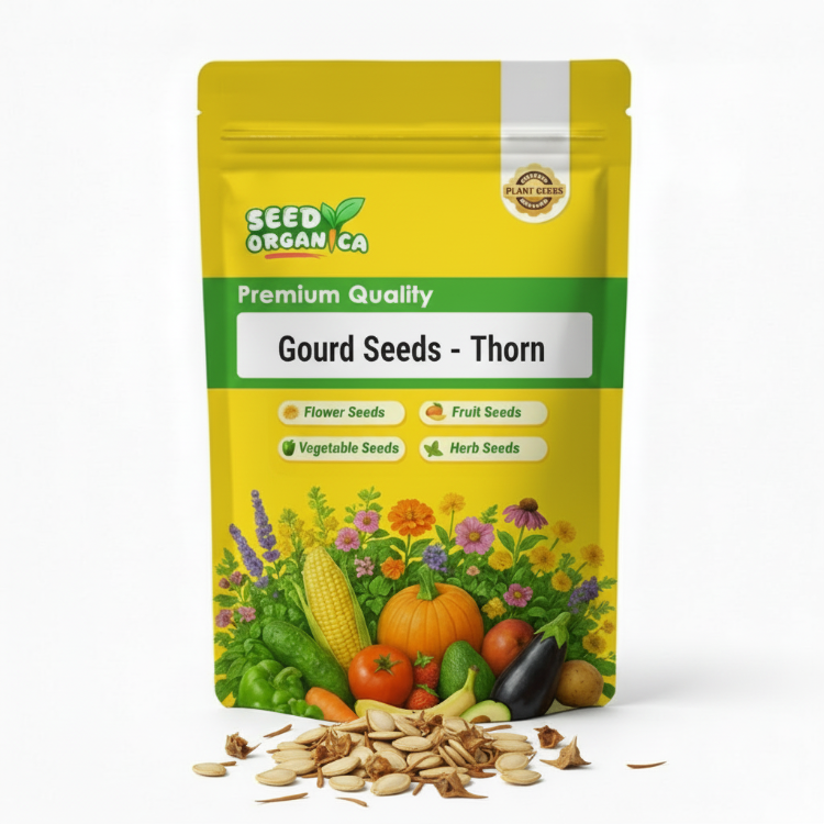 Gourd Seeds – Thorn