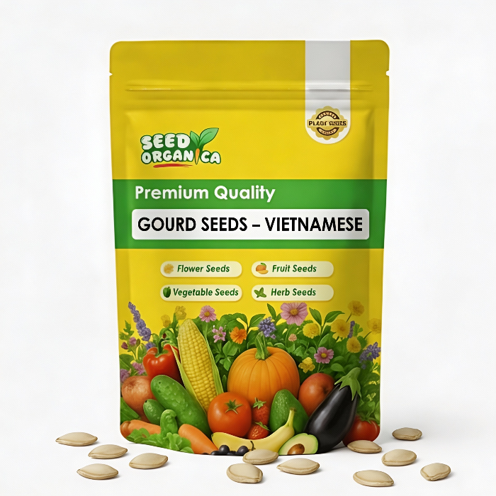 Gourd Seeds – Vietnamese