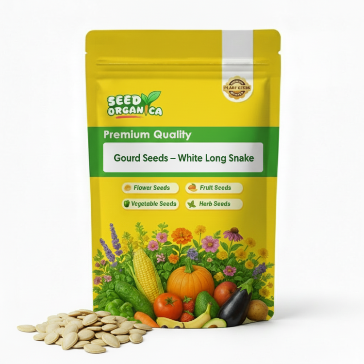 Gourd Seeds – White Long Snake
