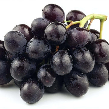 Grape Seeds – Black Corinth