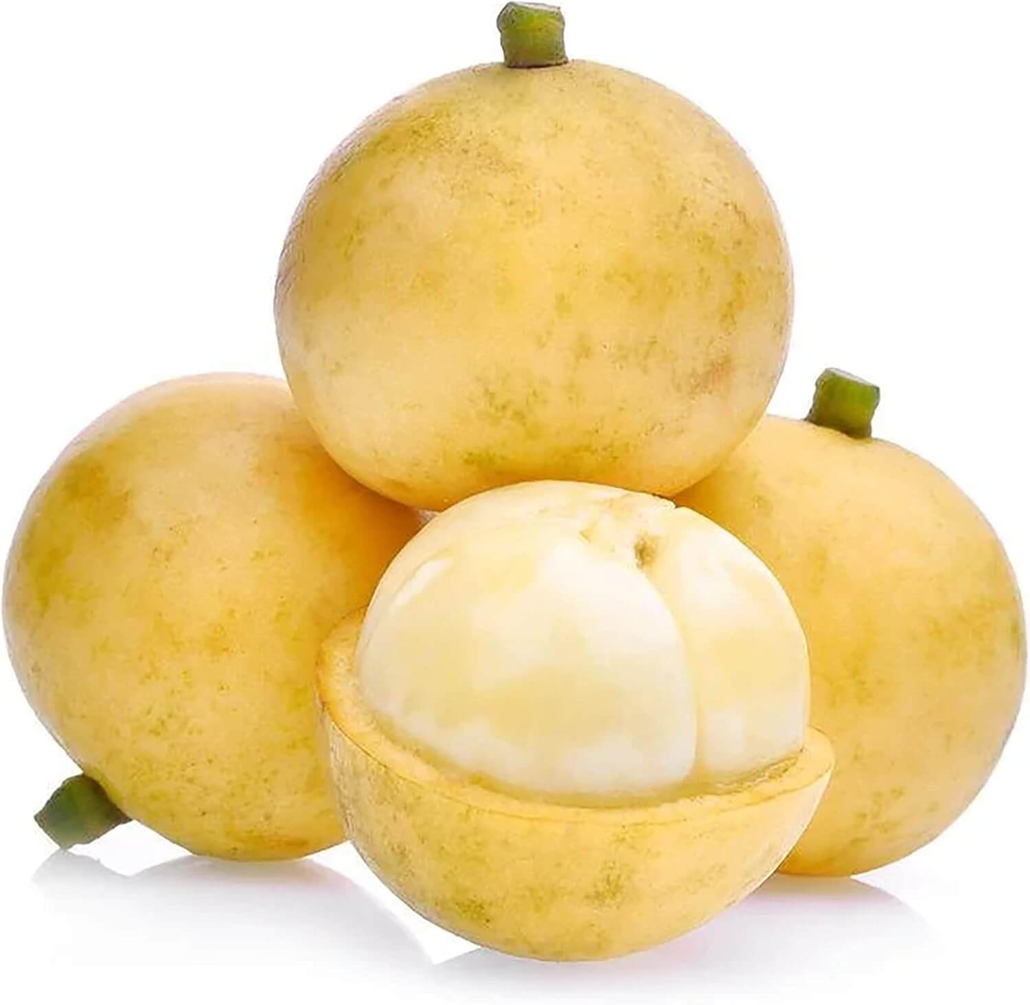 Grape Seeds – Burmese