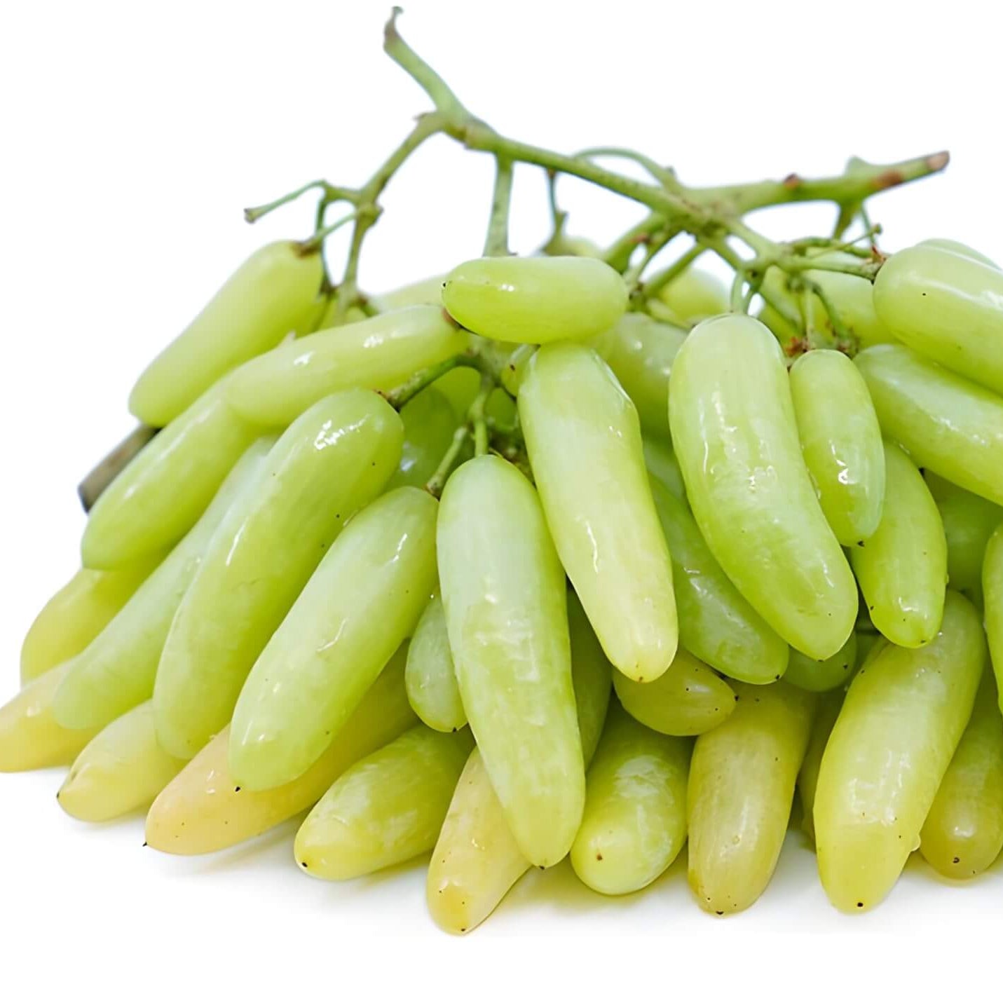 Grape Seeds – Moon Drop Green