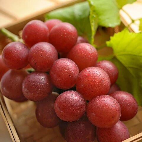 Grape Seeds – Ruby Roman