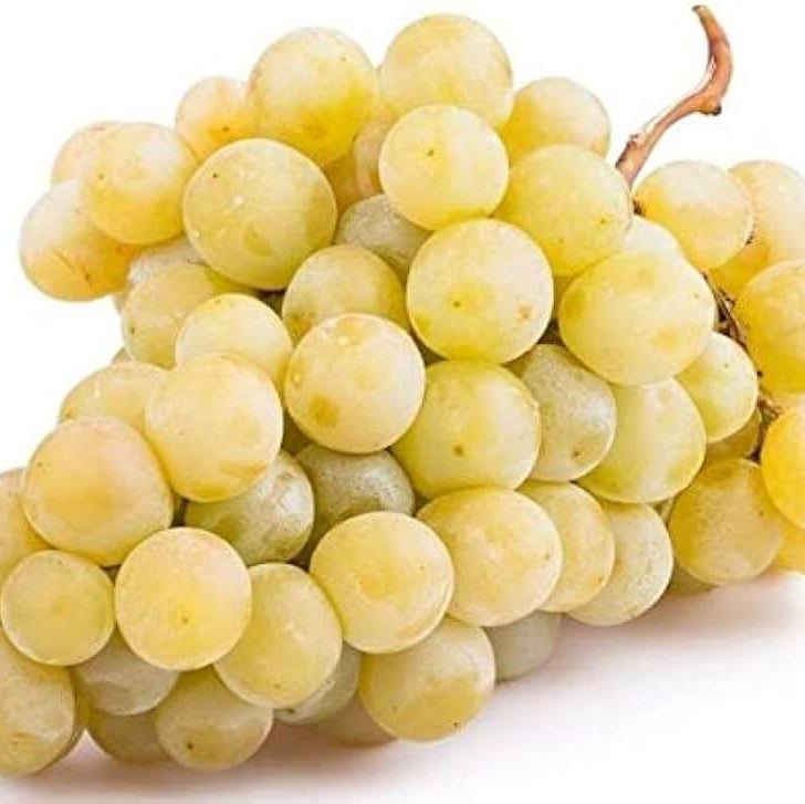 Grape Seeds – Yellow