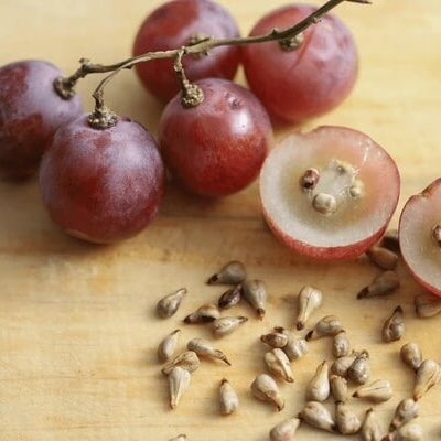 Grape Seeds – Brown
