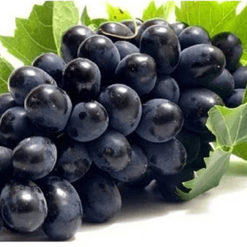 Grape Seeds – Midnight Beauty