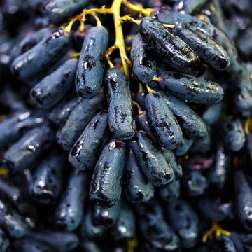 Grape Seeds – Moon Drops Black