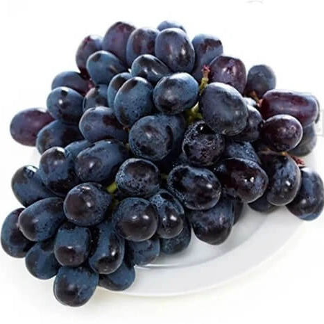 Grape Seeds – Muscat