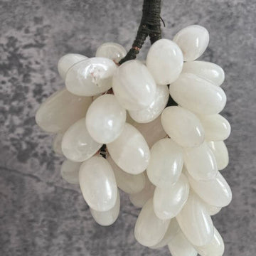Grape Seeds – White