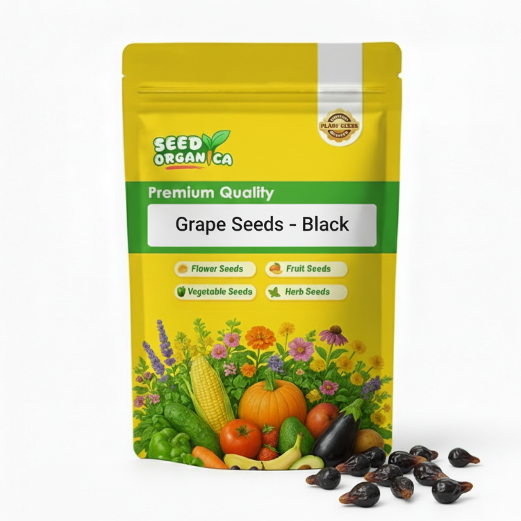Grape Seeds – Black