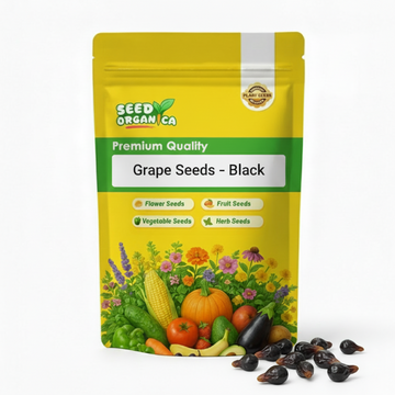 Grape Seeds – Black