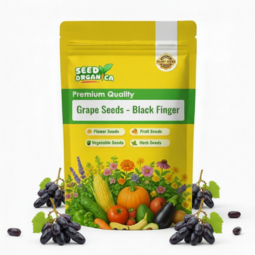 Grape Seeds – Black Finger