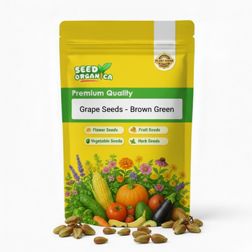 Grape Seeds – Brown Green