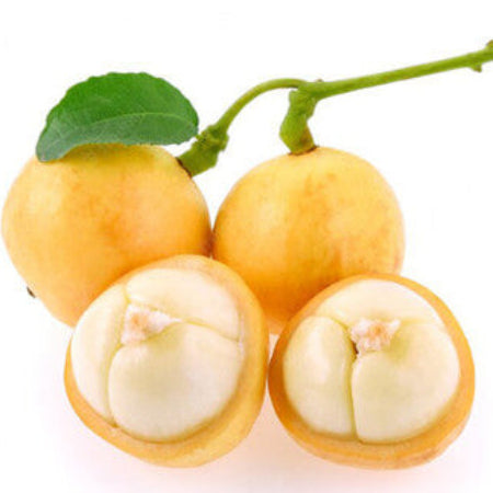 Grape Seeds – Burmese