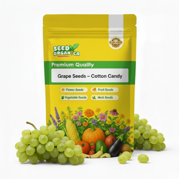 Grape Seeds – Cotton Candy