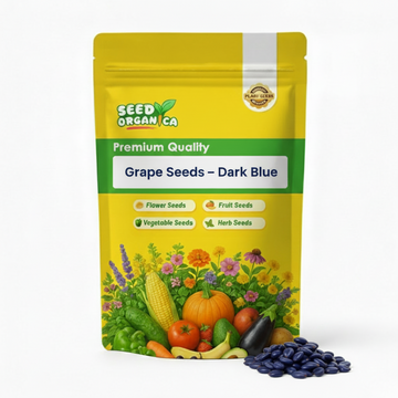 Grape Seeds – Dark Blue