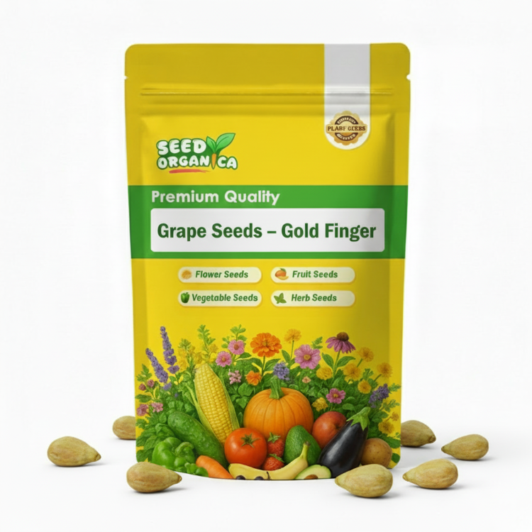 Grape Seeds – Gold Finger