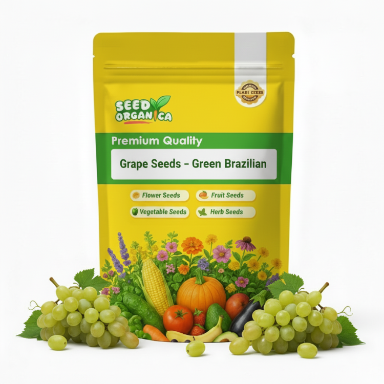 Grape Seeds – Green Brazilian