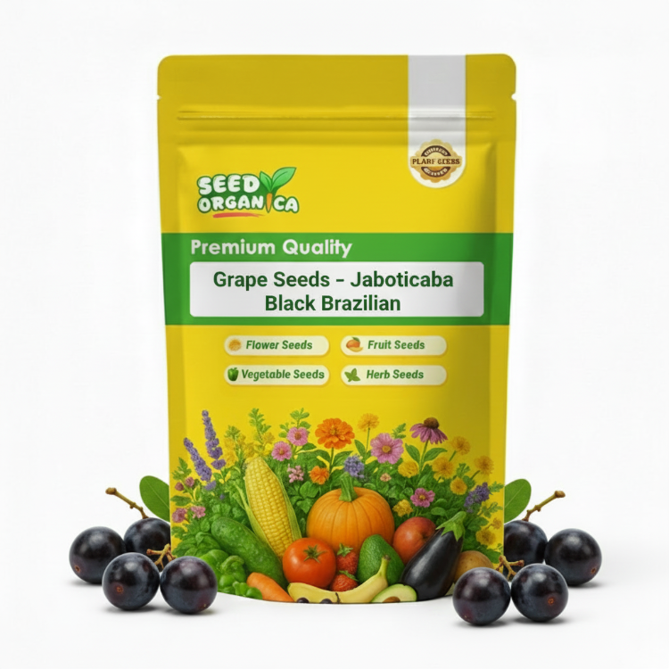Grape Seeds – Jaboticaba Black Brazilian