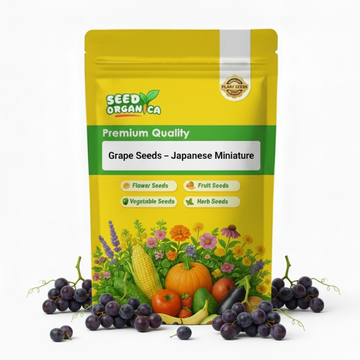 Grape Seeds – Japanese Miniature