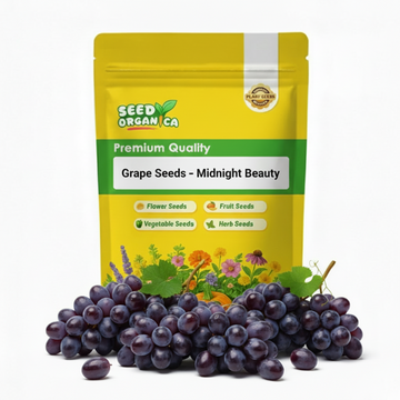 Grape Seeds – Midnight Beauty