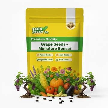 Grape Seeds – Miniature Bonsai