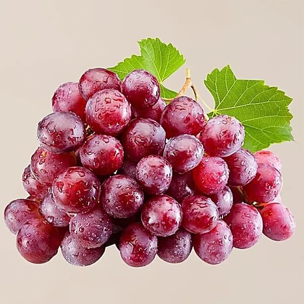 Grape Seeds – Miniature Dark Pink