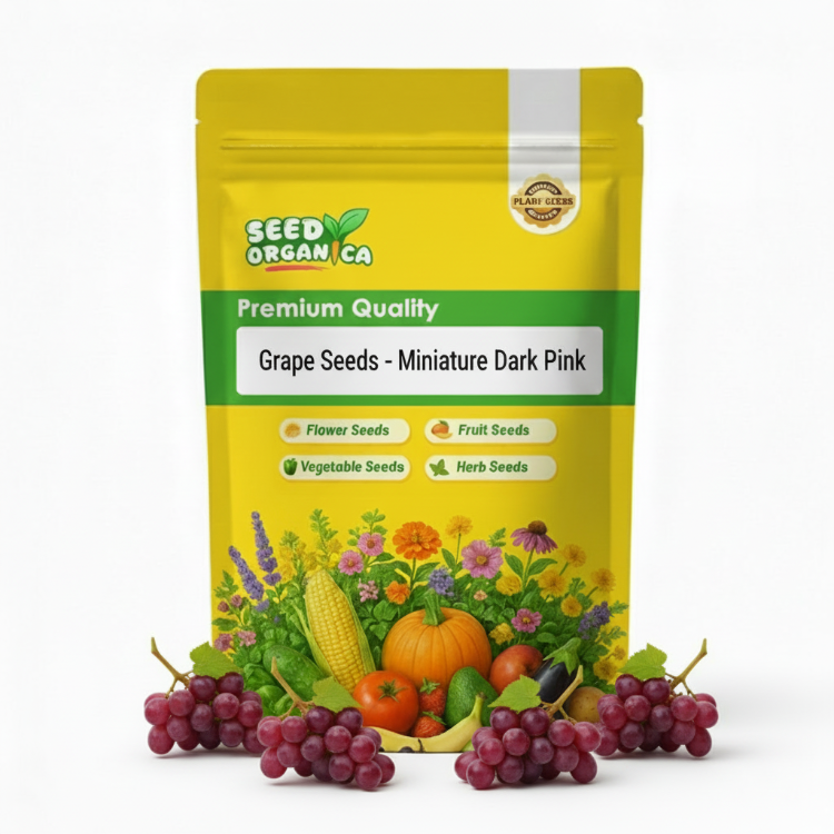 Grape Seeds – Miniature Dark Pink