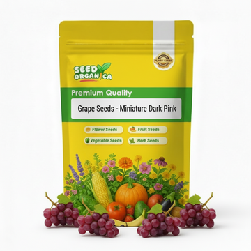 Grape Seeds – Miniature Dark Pink