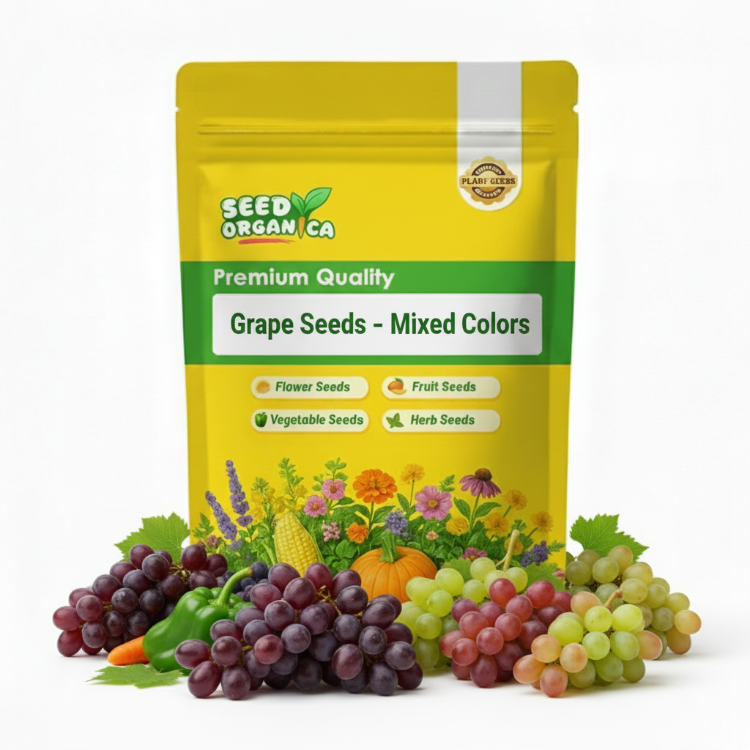 Grape Seeds – Mixed Colors