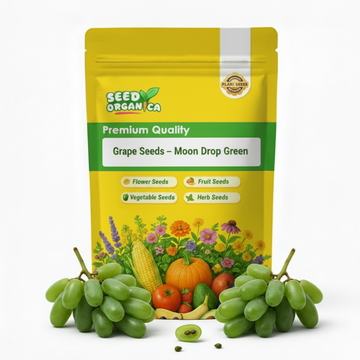 Grape Seeds – Moon Drop Green