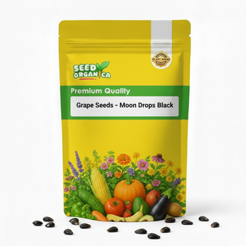 Grape Seeds – Moon Drops Black